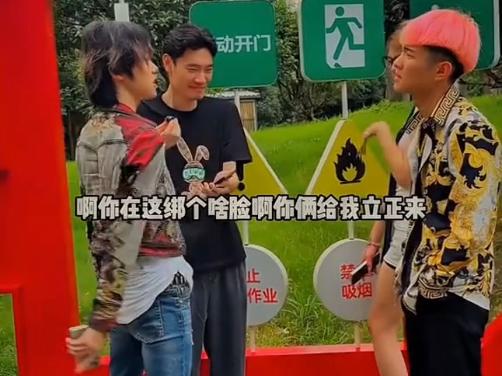 火龙果皮