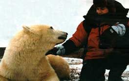 【豆瓣9.1分】伊万·麦格雷戈探访野生北极熊 The Polar Bears of Churchill, with Ewan McGregor (2001)