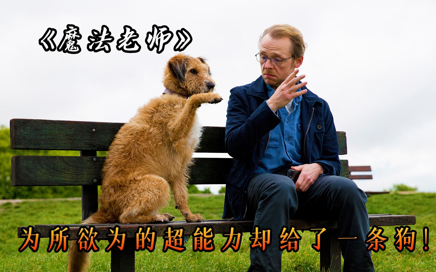 男子意外获得为所欲为的超能力，最终却给了一条狗！爆笑《魔法老师》