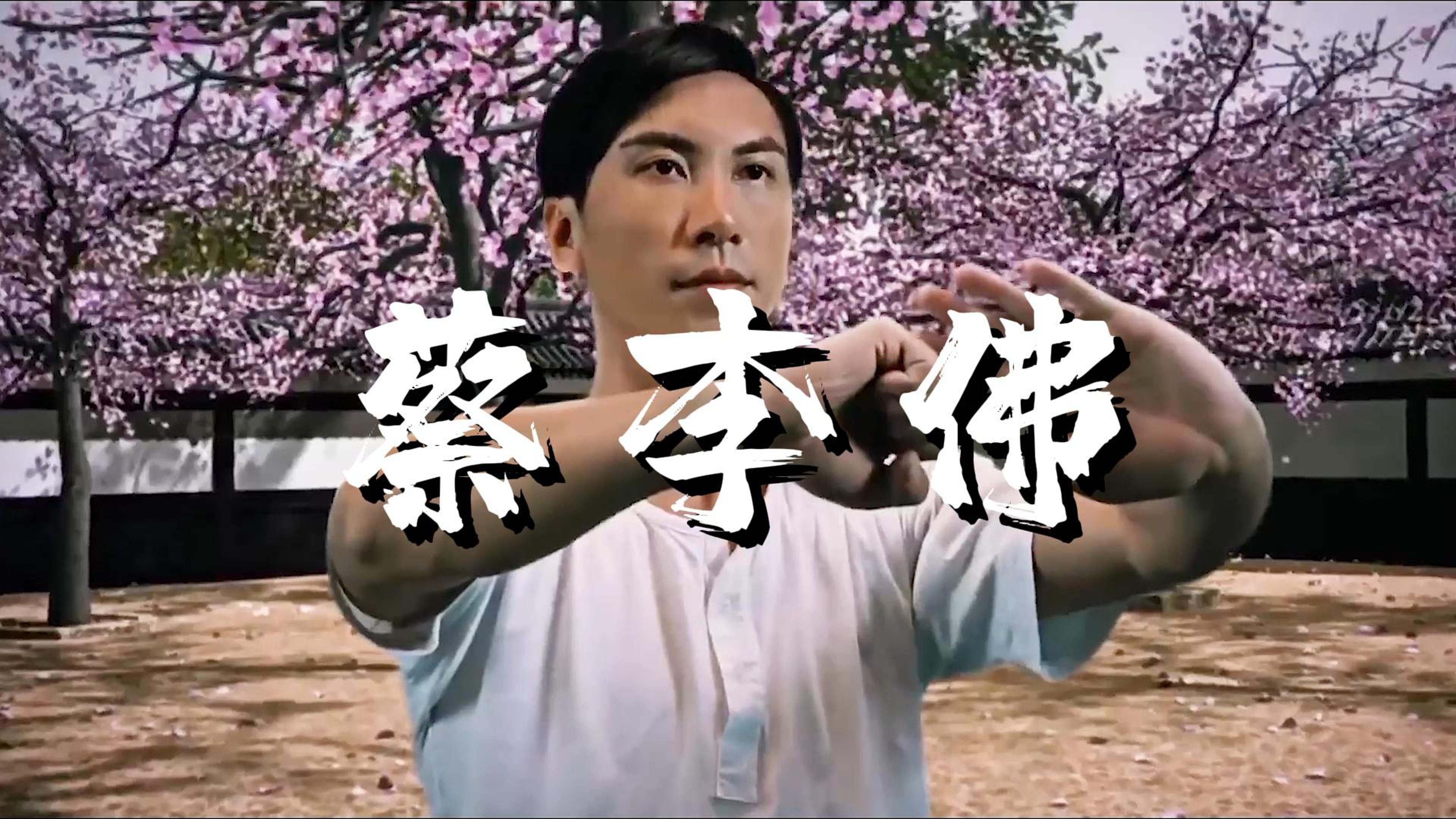 江湖有云：北有太极，南有蔡李佛！