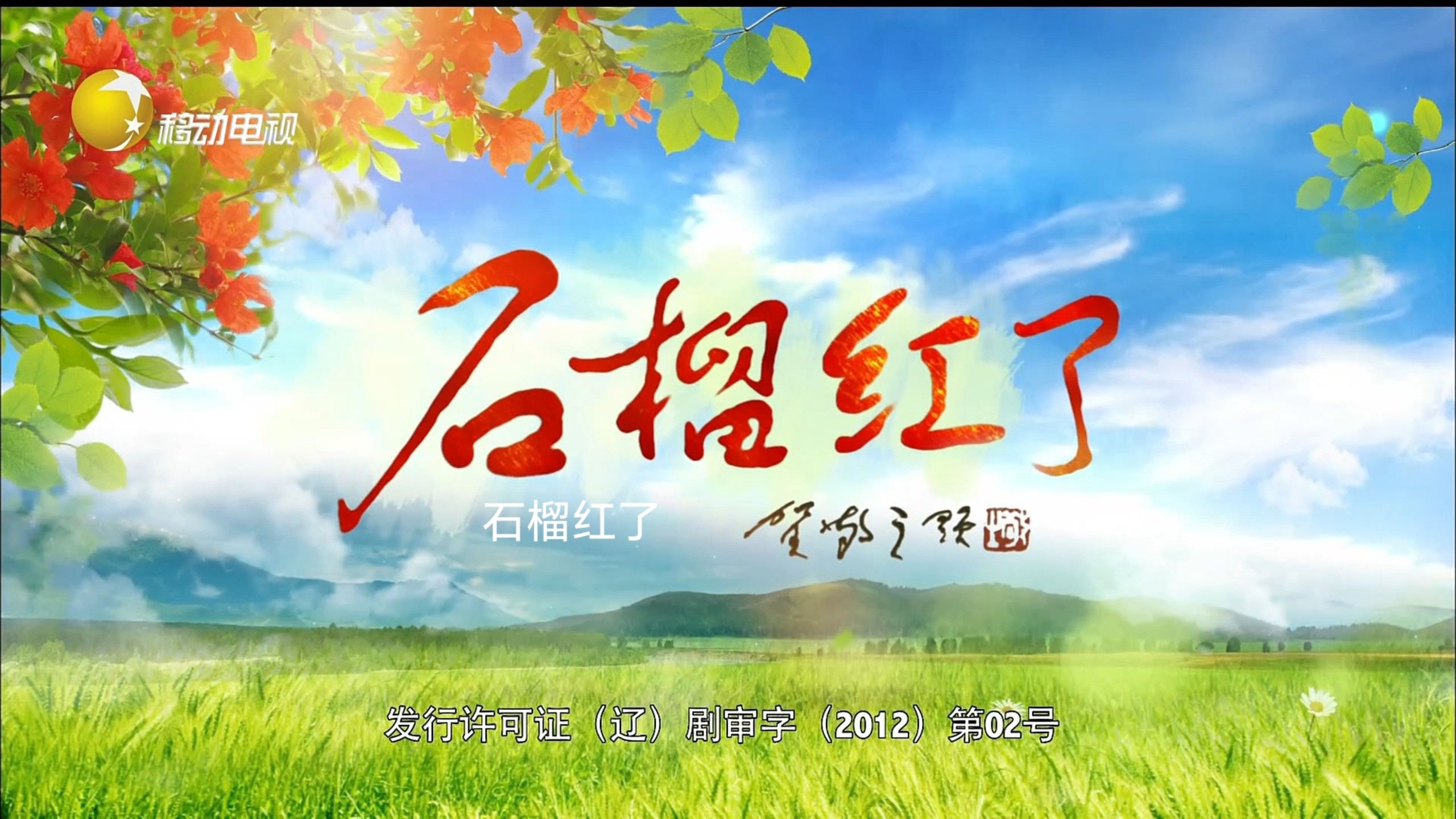 电视剧《石榴红了》第1—18集