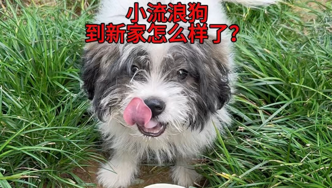 乞丐变王子