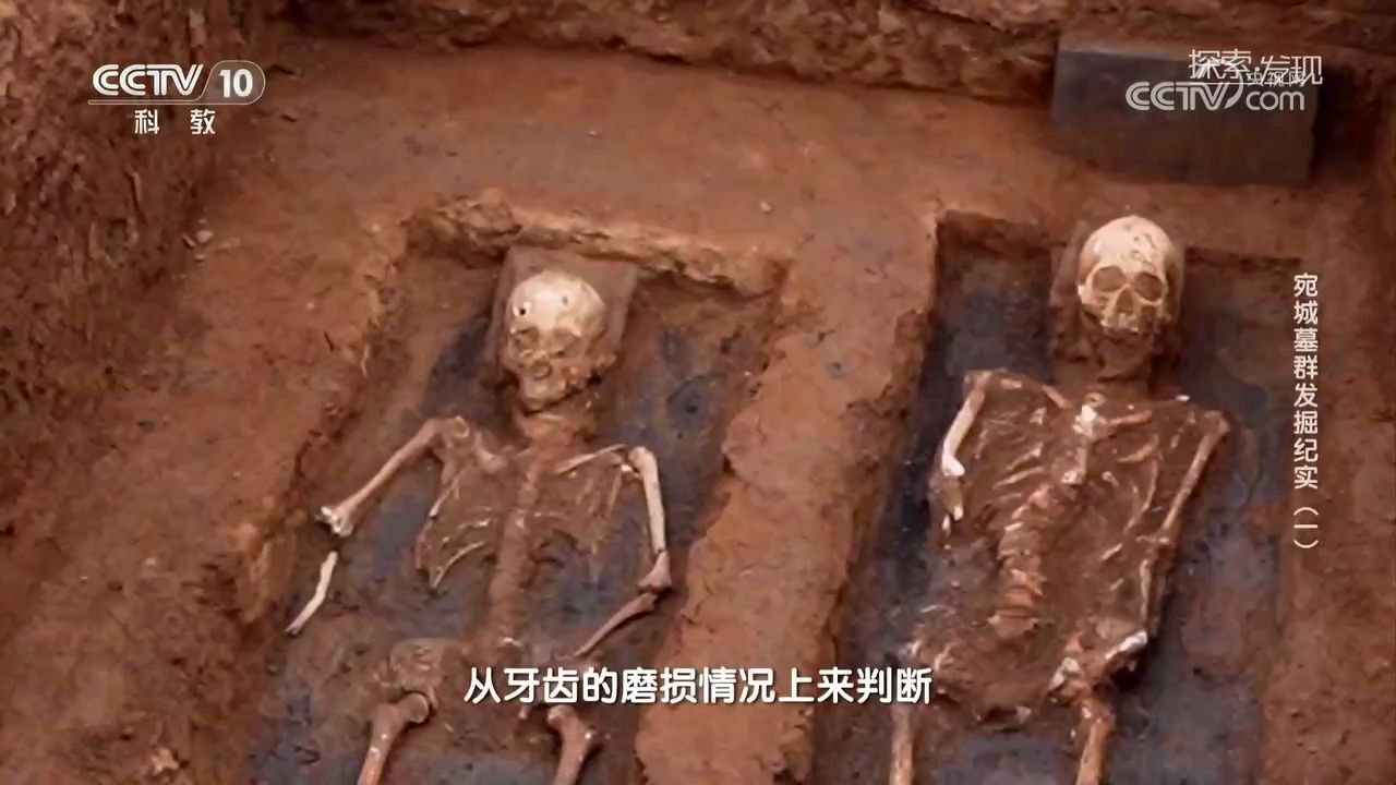 《探索·发现》2026考古进行时：宛城墓群发掘纪实（三集）