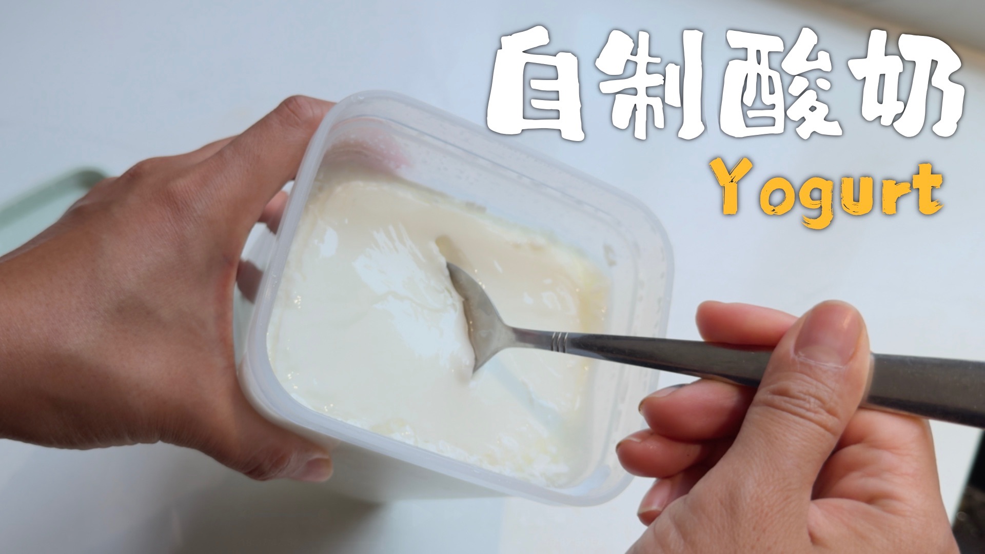 家庭自制酸奶～发酵食物之乳酸菌