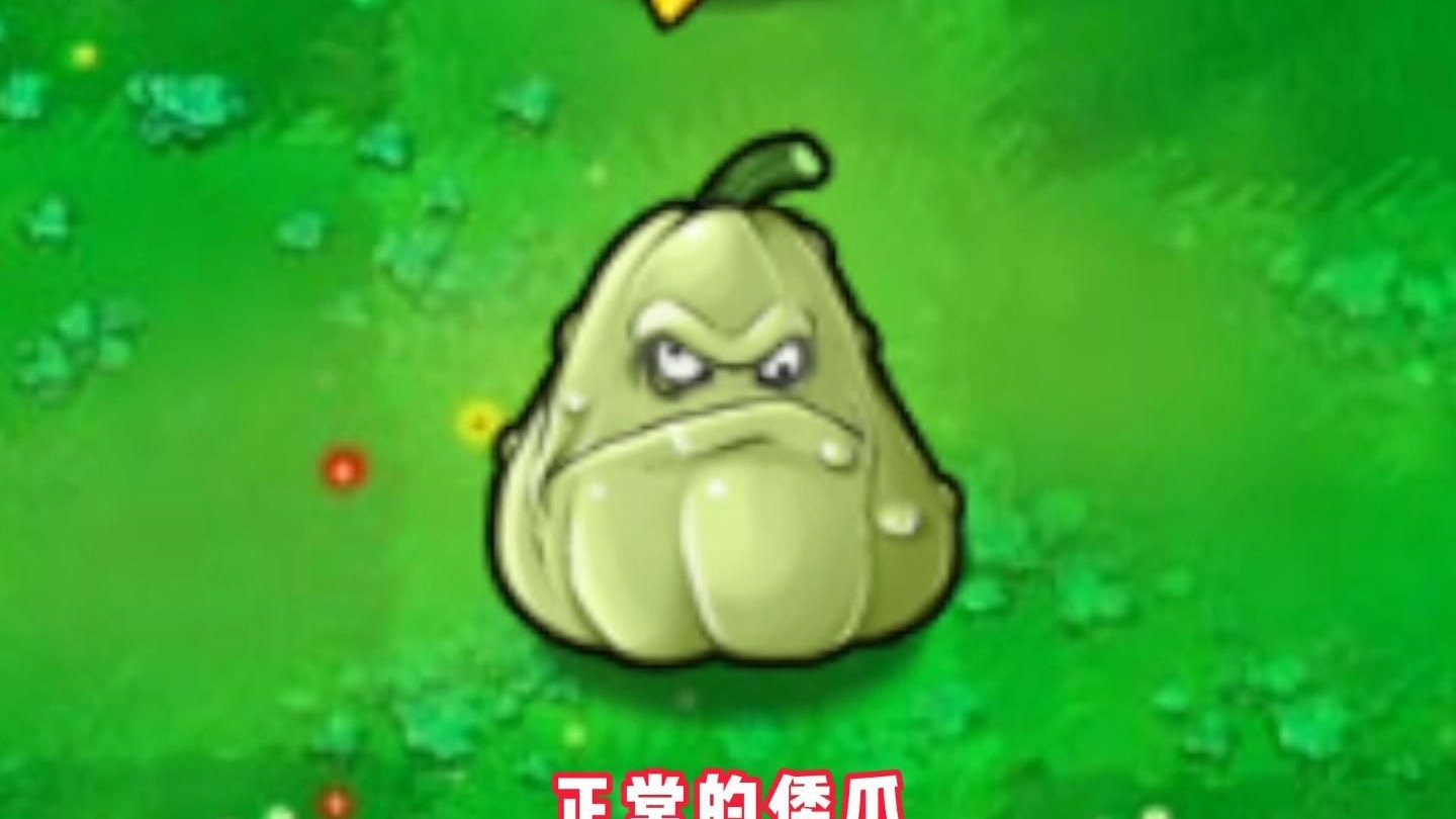 这咋玩啊~爆米花！！