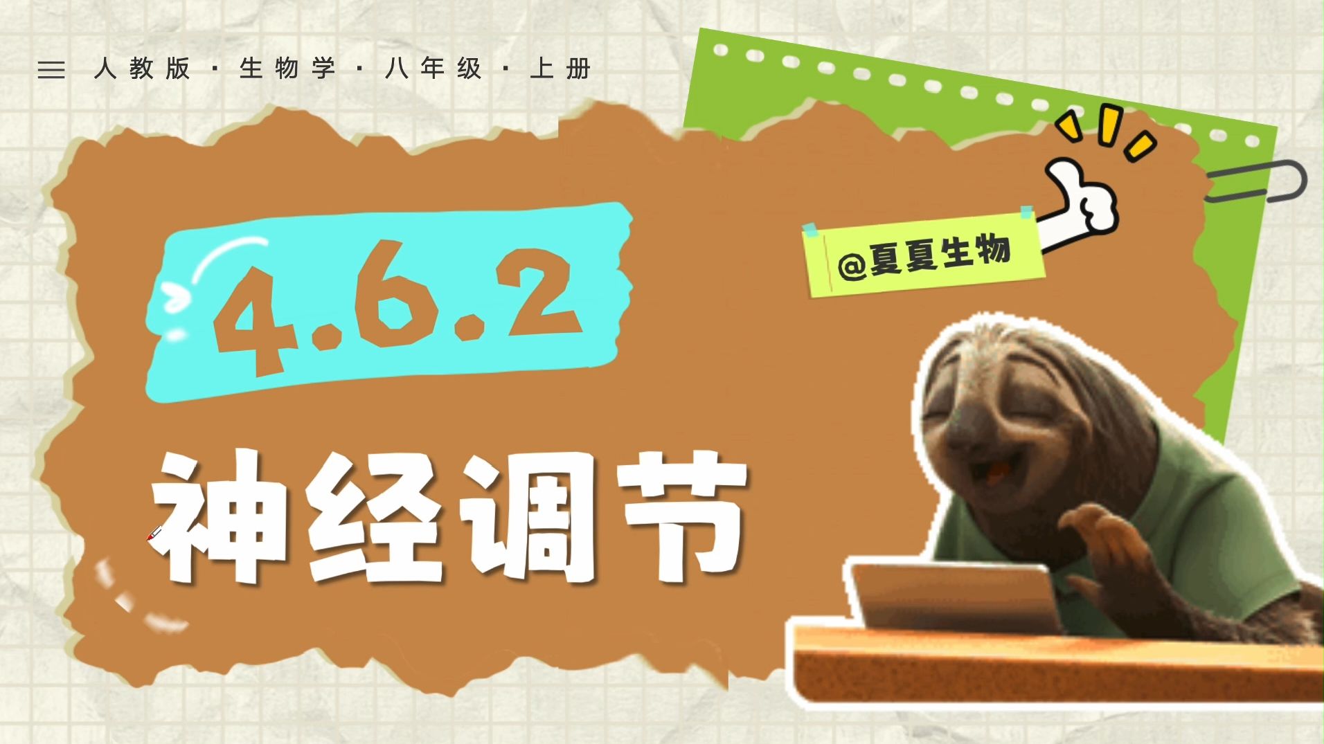 【夏夏老师】4.6.2 《神经调节》第2课时微课视频，跟着夏夏学八上，暑期提前预习，开学惊艳所有人！