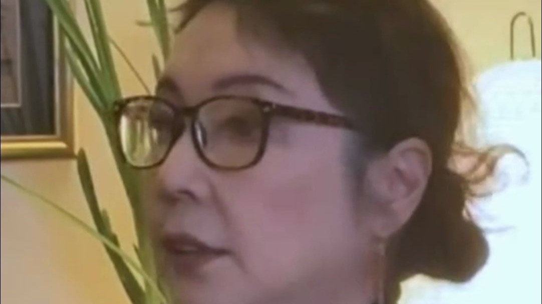 芳华原作者 看芳华解说 看了一集半 看不下去
