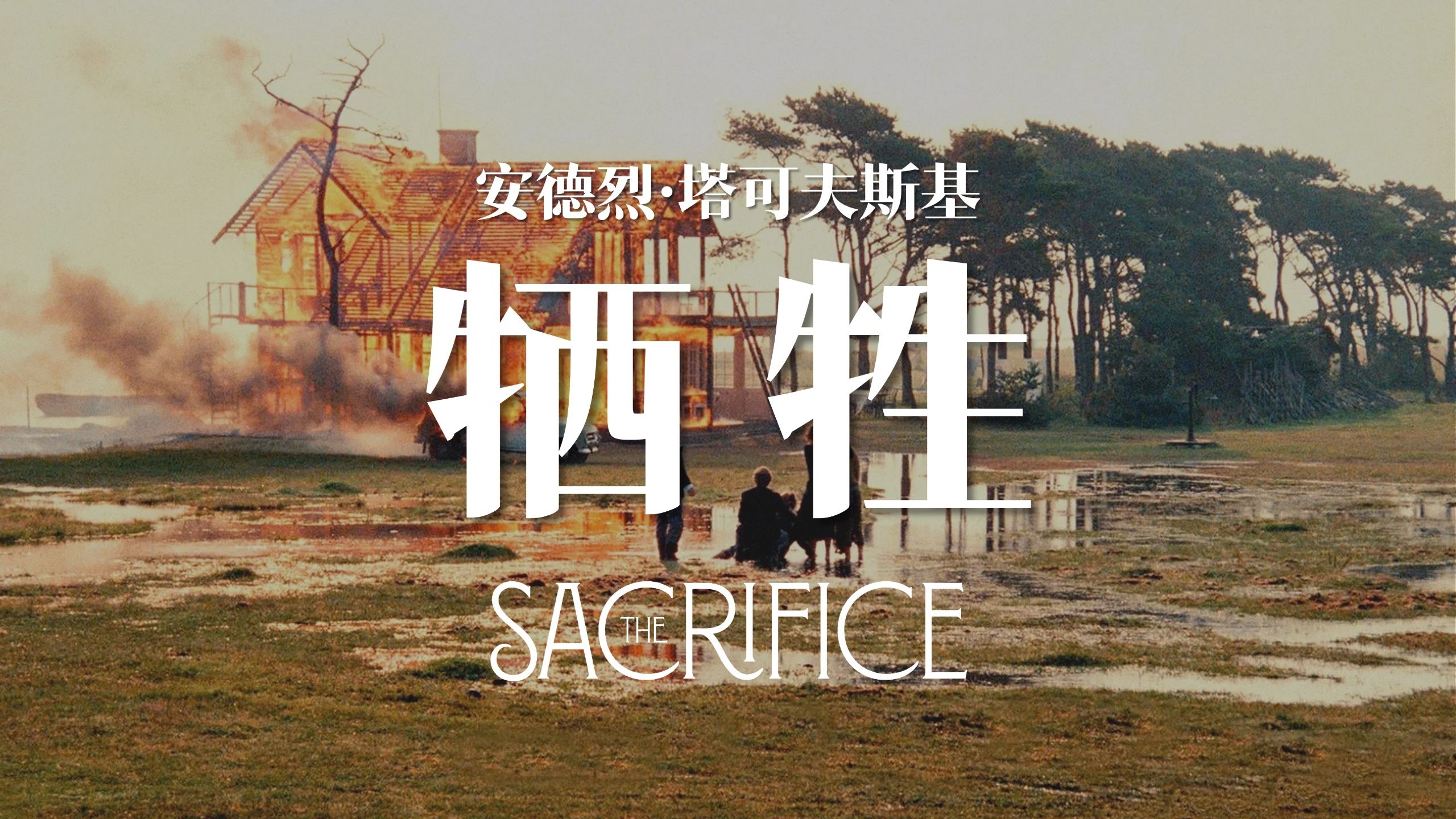安德烈·塔科夫斯基《牺牲》，用生命浇灌的终极神作，每一帧都是他对世界的告别与献祭。