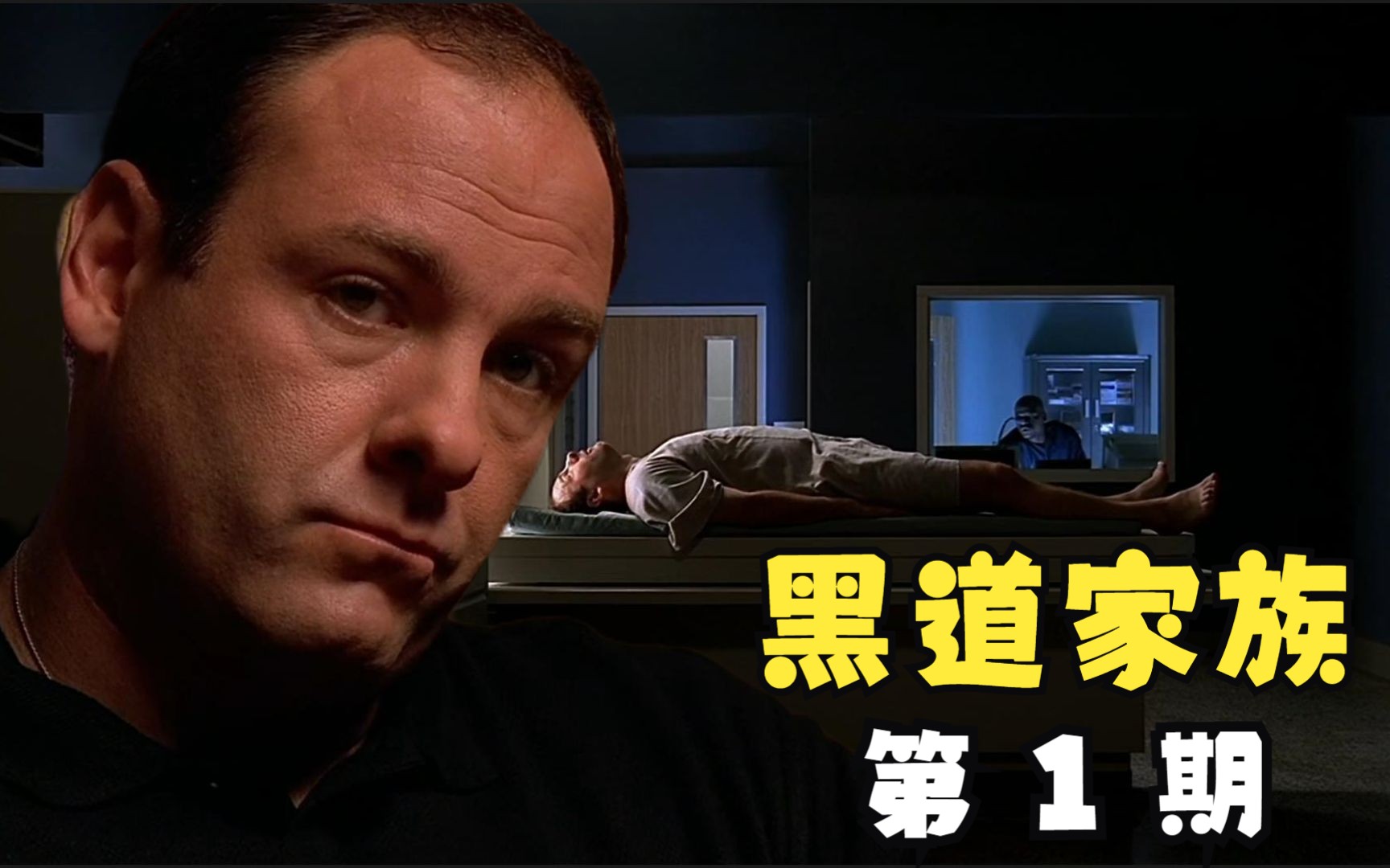 《黑道家族》精讲第1期：面对家庭和事业的双重压力，黑帮大佬也需要看心理医生