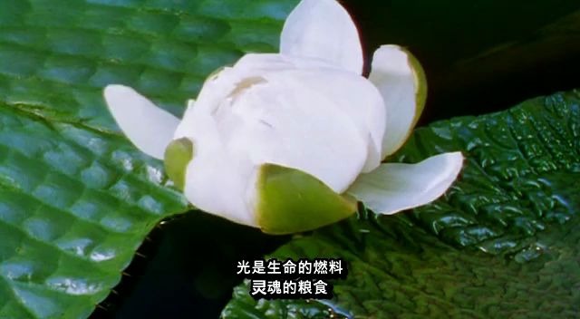 光的故事1.BBC