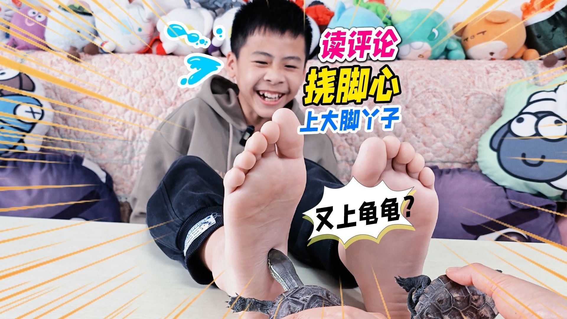 挑战挠脚心但是双脚？小乌龟大明二明一起上，布丁小仓鼠粽子还在
