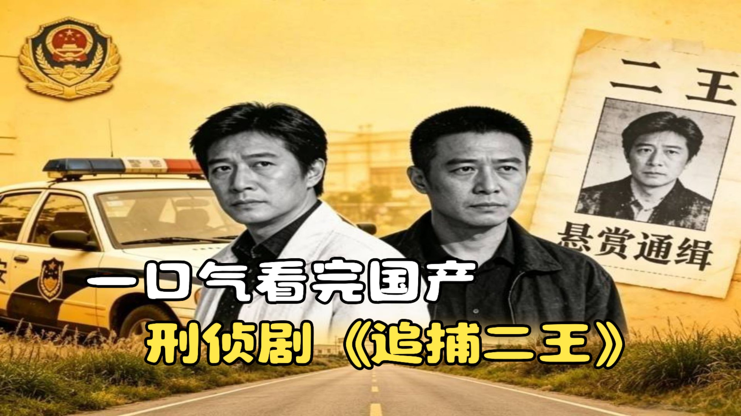 一口气看完国产刑侦剧《追捕二王》，公安部一号令东北二王特大杀人案！