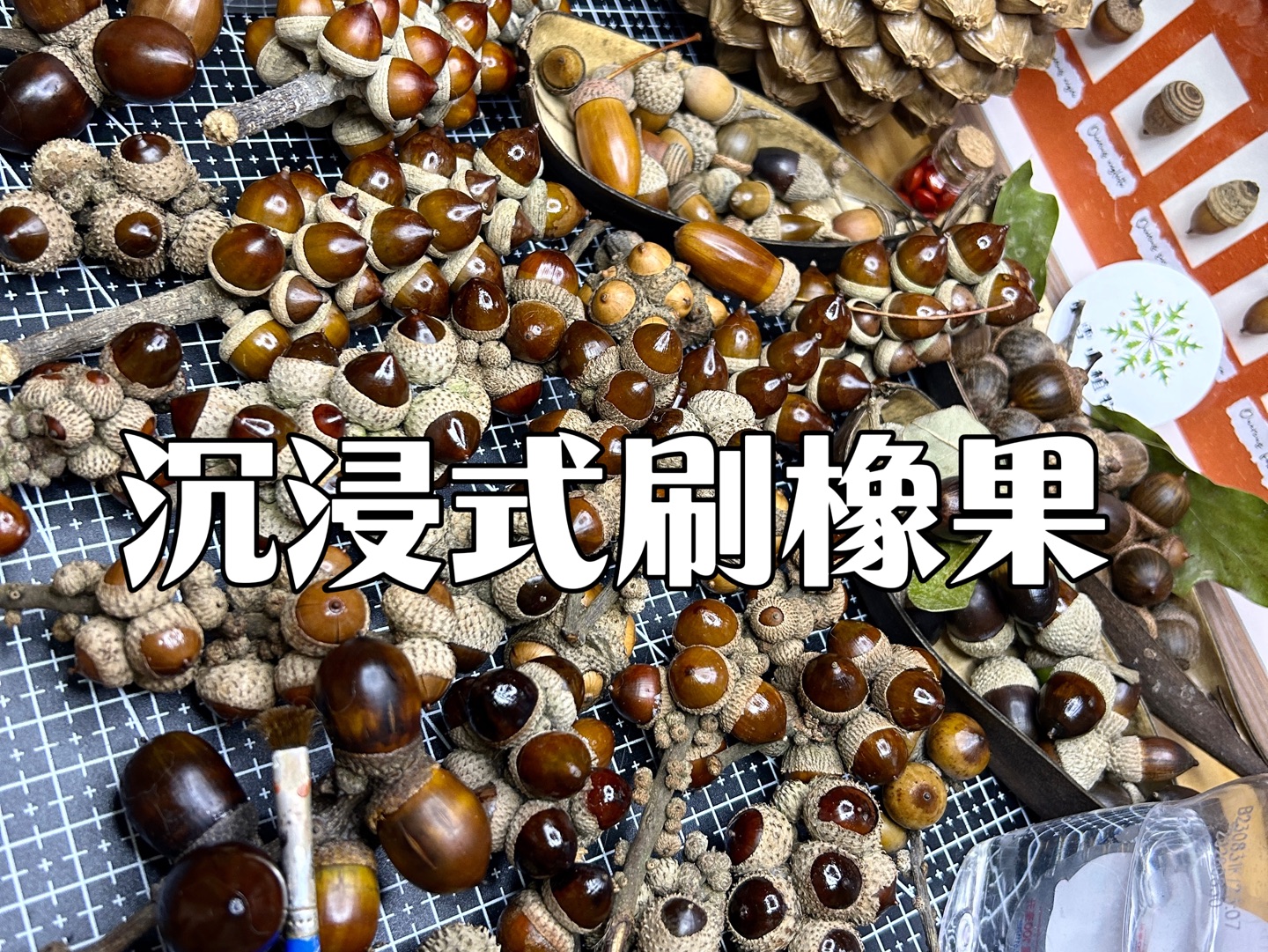 橡果洗刷刷~