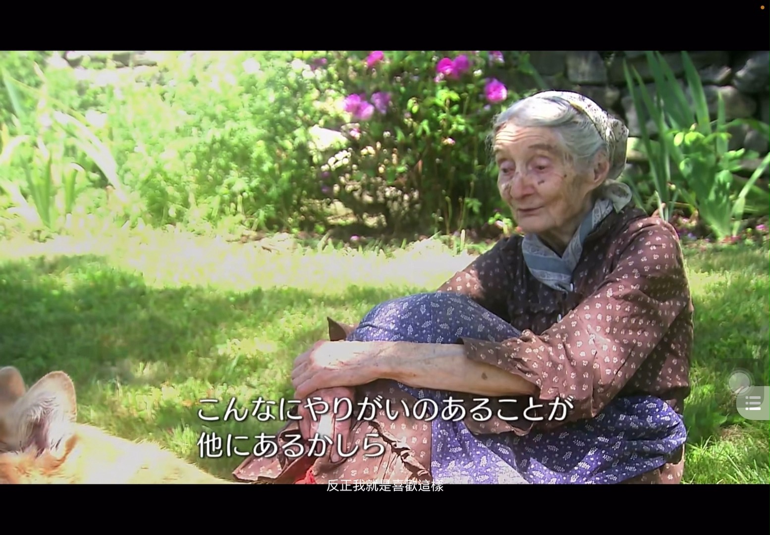 【纪录片】塔莎·杜朵  一个人的田园生活
