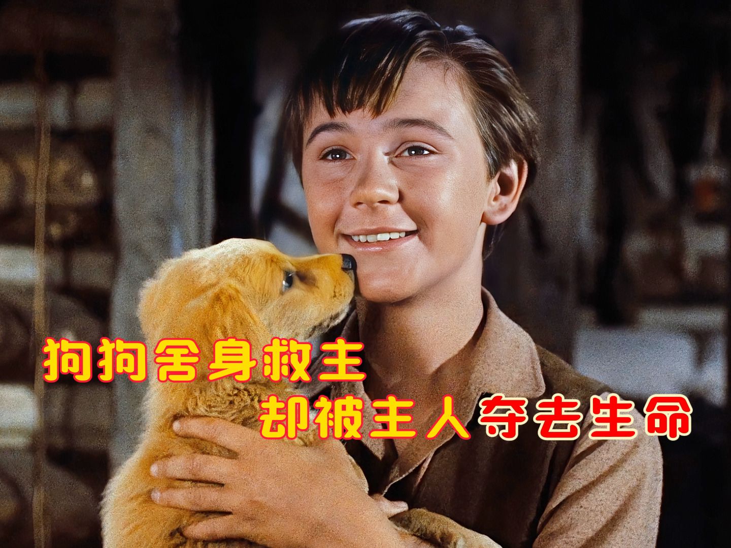 看一遍哭一遍，不哭算我输