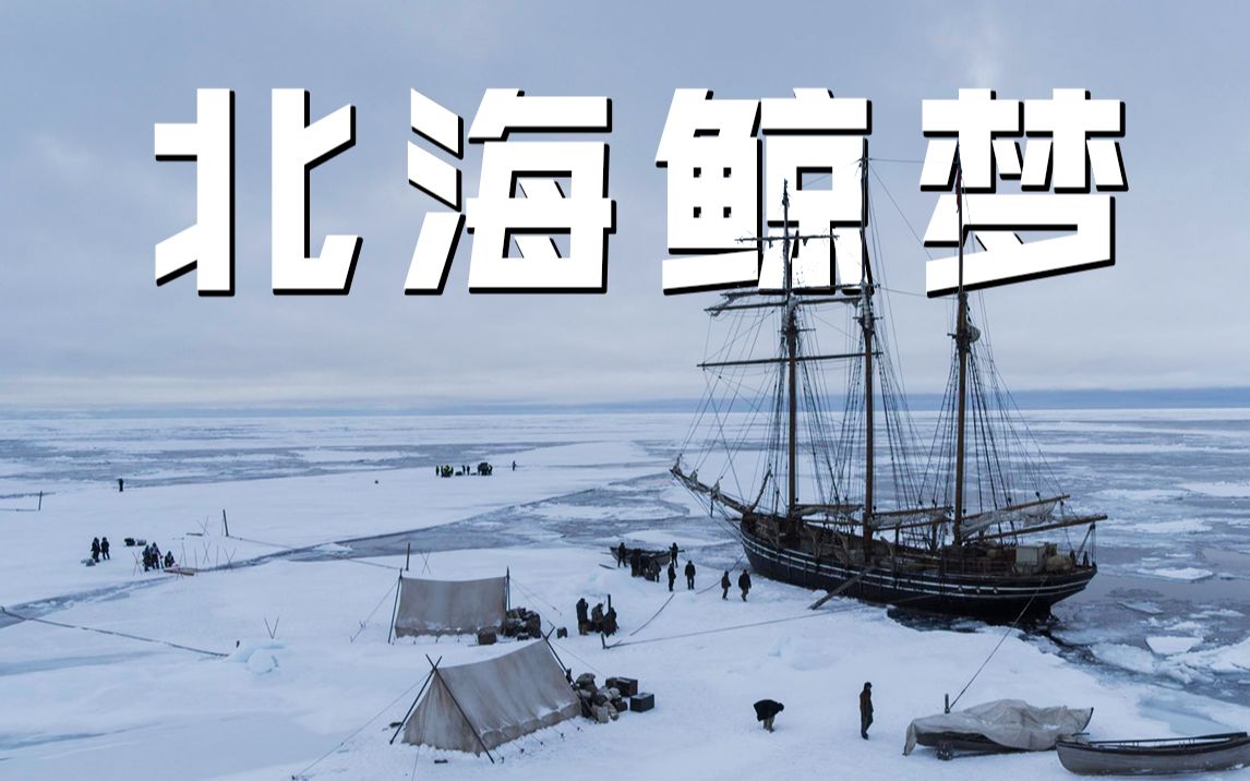 【长工】一艘前往北极的捕鲸船，充满谎言和杀戮注定无法返程！高分英剧《北海鲸梦》第1期