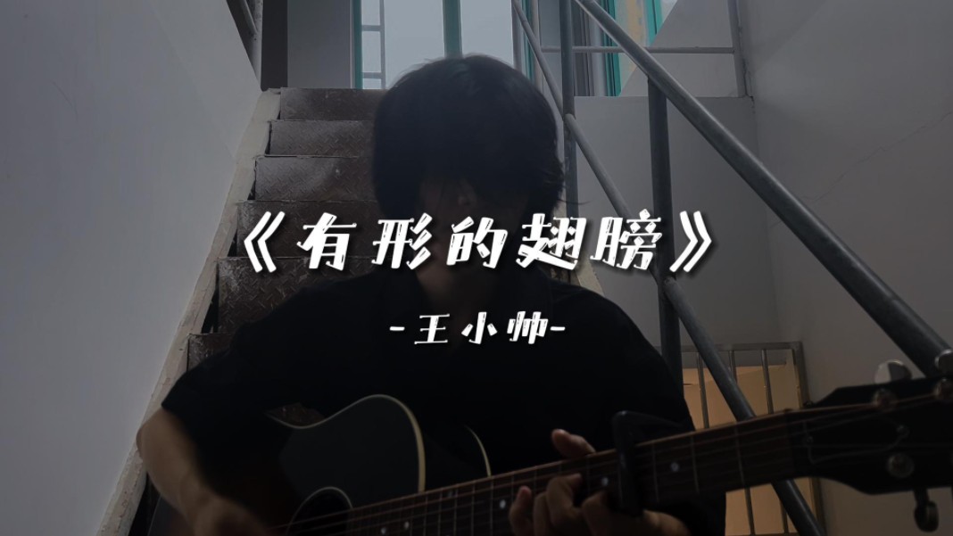 《有形的翅膀》"隐形翅膀，带着我幻想......"。〖王小帅〗