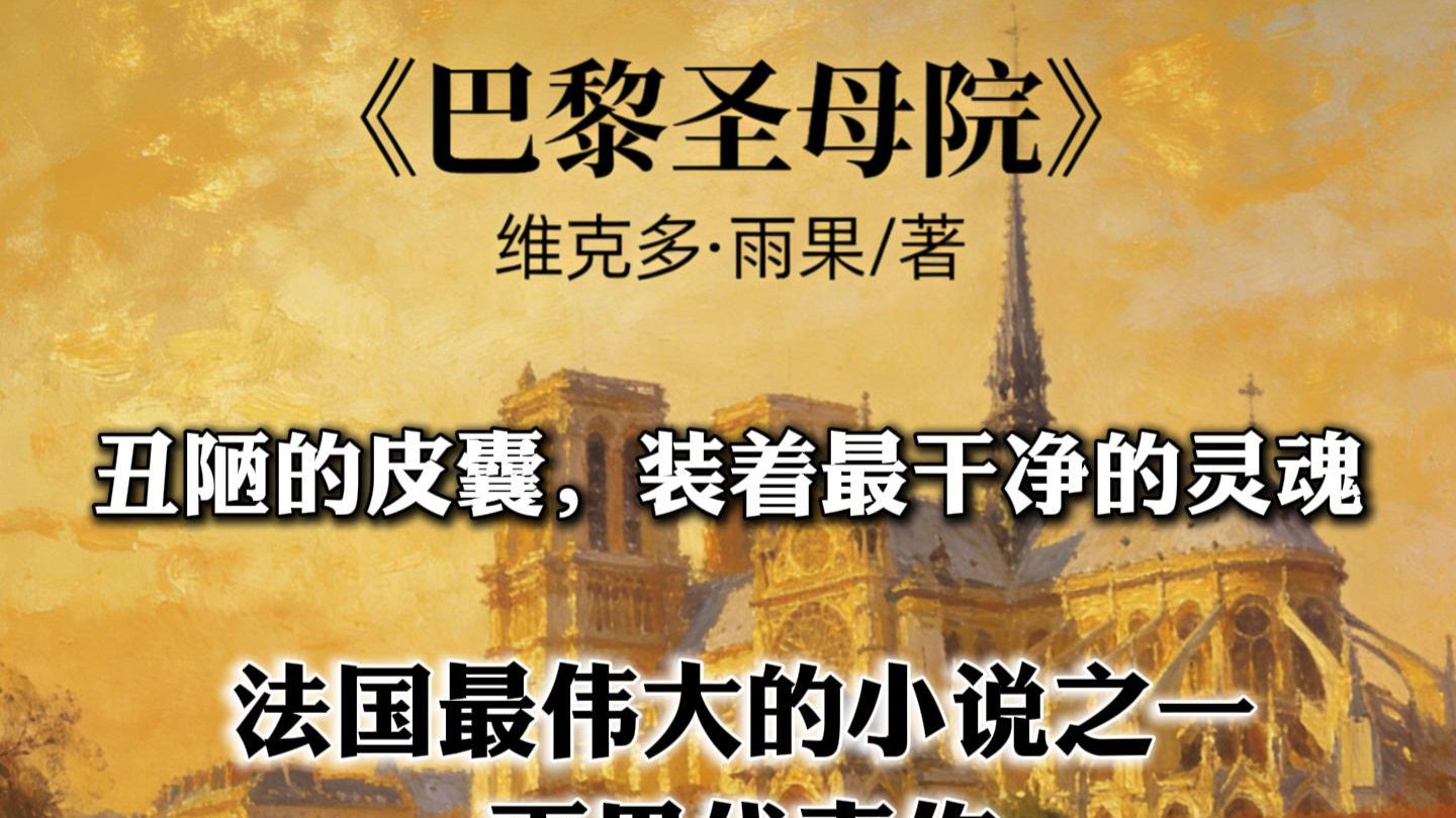 【篝火声助眠】《巴黎圣母院》丑陋的皮囊装着最干净的灵魂| 优质经典文学摄入