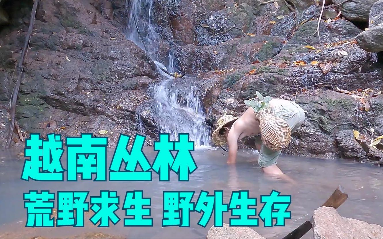 越南丛林原始生活生存-荒野求生【合集，更新中】野外生存，原始技术，建造帐篷，在热带雨林生火