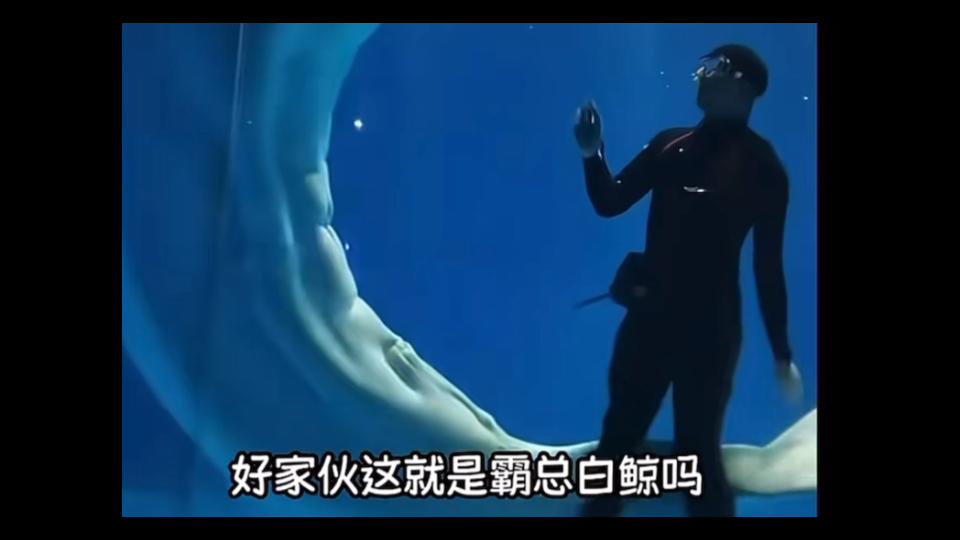人类真的没救了 #吐槽#动物
