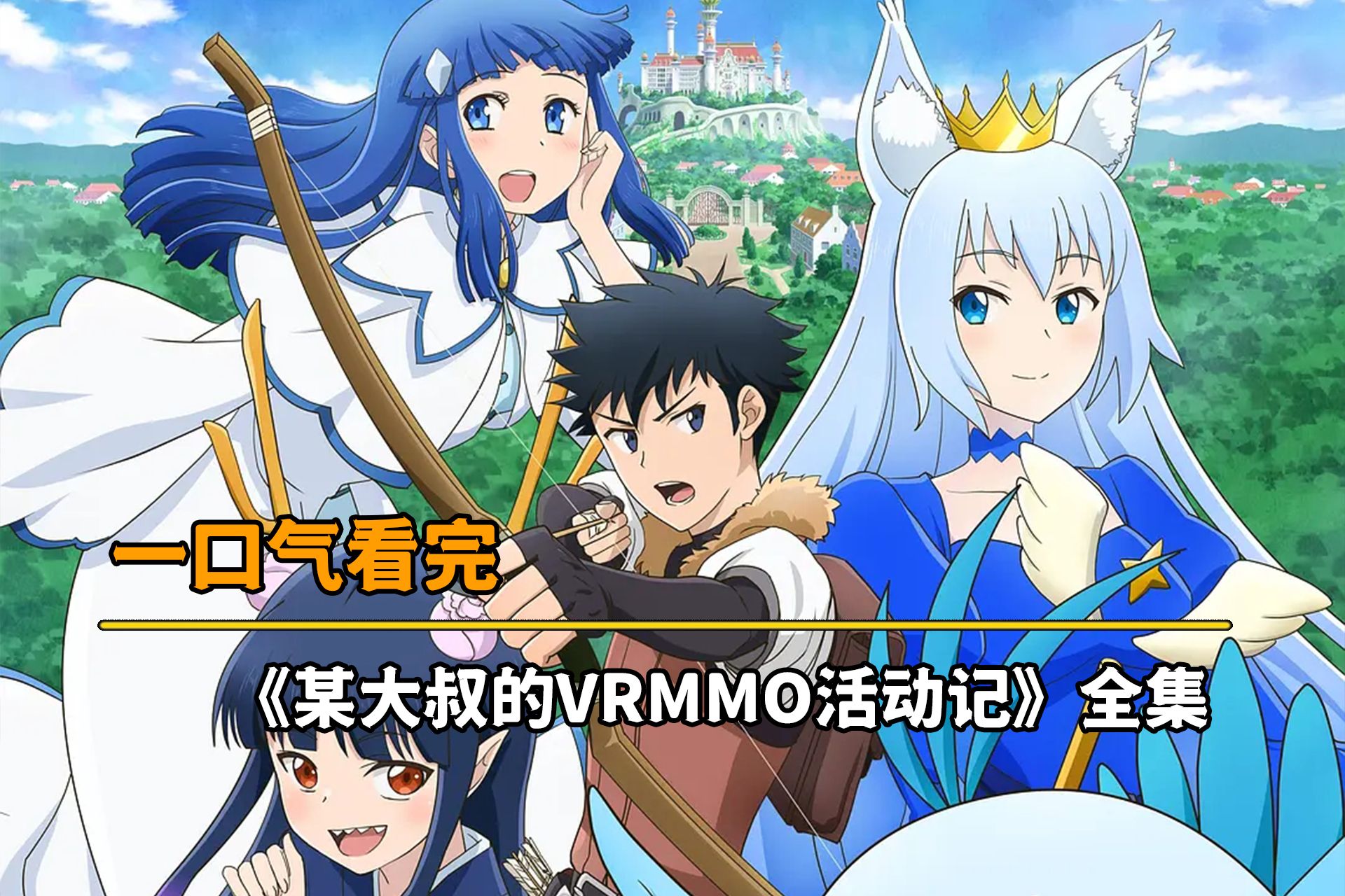 一口气看完《某大叔的VRMMO活动记》全集。