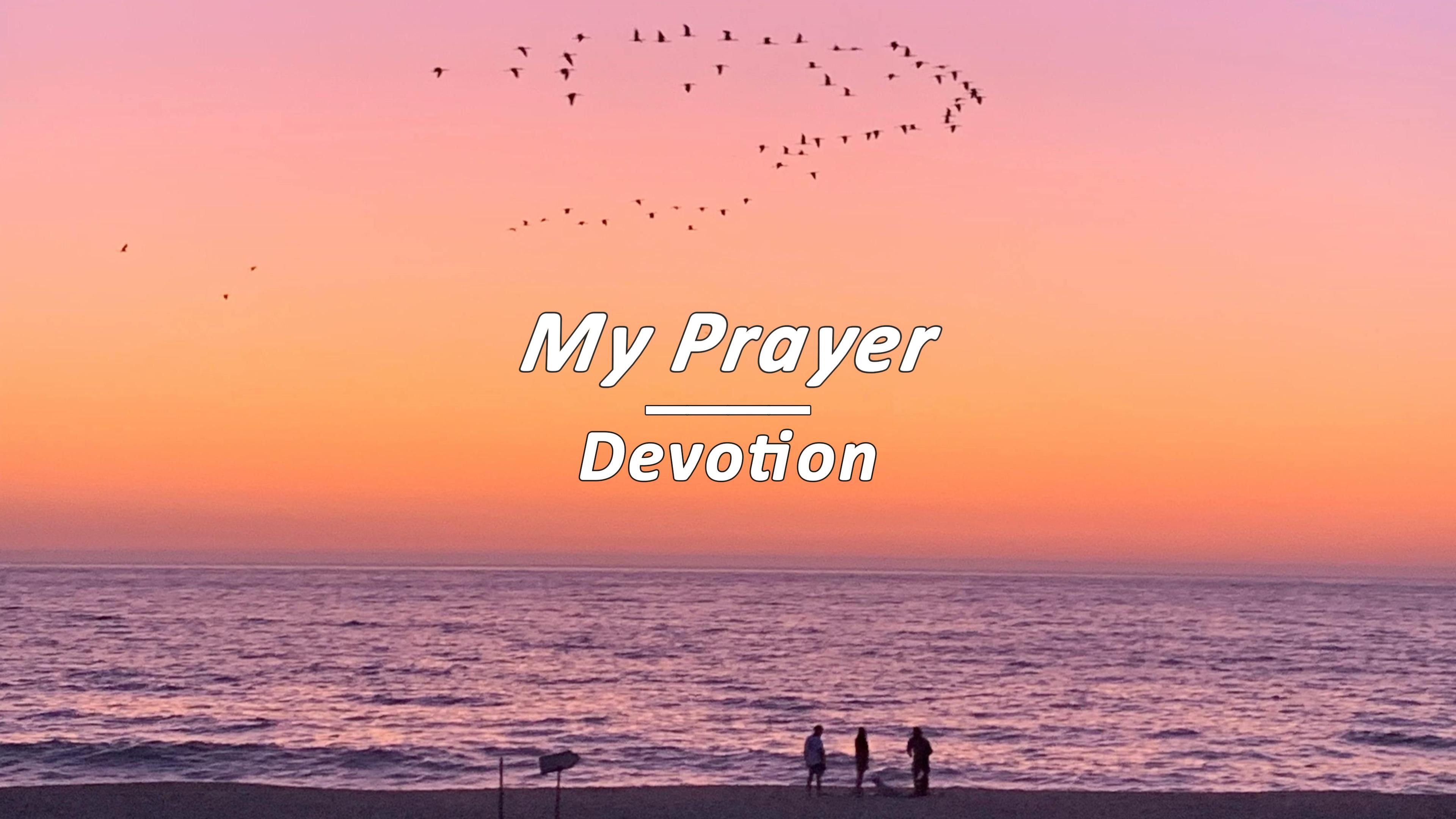 “结婚入场用了这首歌，氛围感十足”〖My Prayer〗