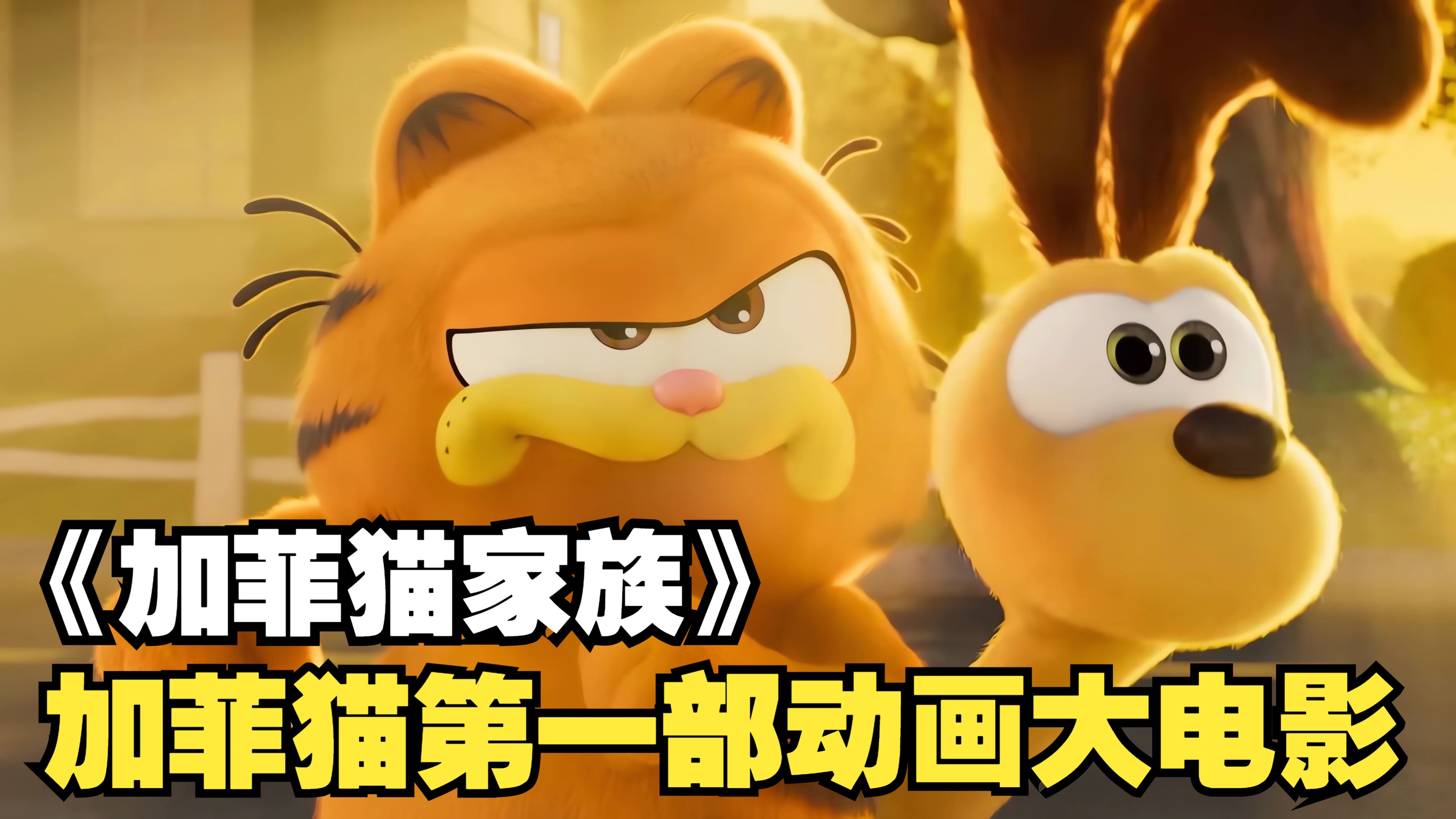 加菲猫！可爱，但是很贱，星爵为其配音。乔恩他到底是为什么养了加菲这个散财猫？《加菲猫家族》