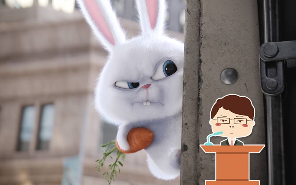 【刘老师】爆笑解说狗富贵勿相忘的动画电影《爱宠大机密》
