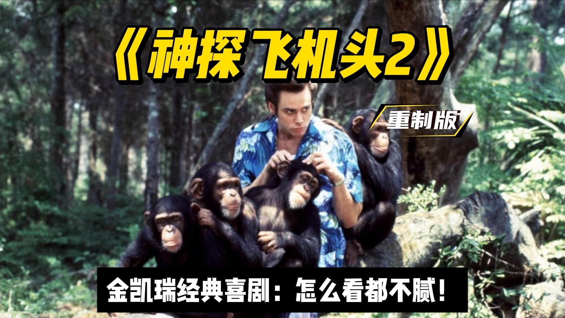 癫疯再起，金凯瑞爆笑喜剧《神探飞机头2》神探归来，非洲部落的爆笑冒险！
