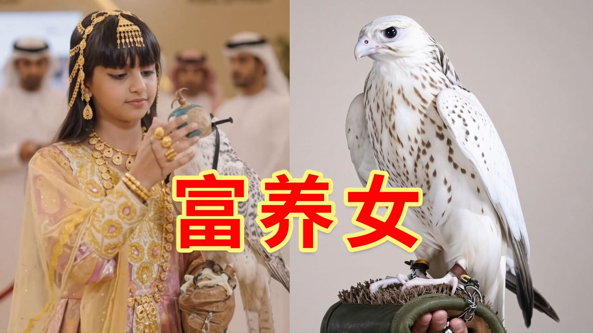 纯白隼罕见亮相，被阿拉伯女孩拍到，父亲斥资270万满足女儿心愿