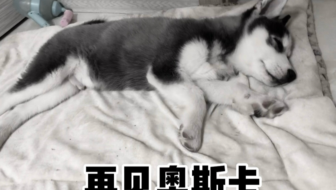 想到以后的日子里没有你，难免哽咽