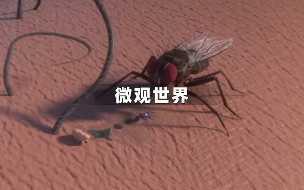 你知道微观世界有多神奇吗？
