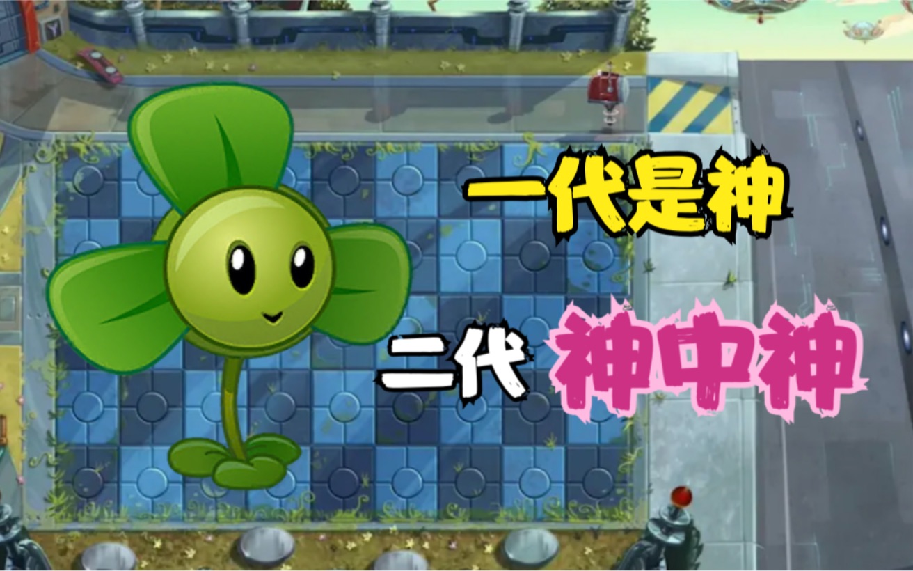 黑猫植物评测 三叶草 一代好用 二代封神！