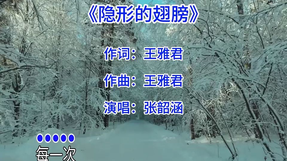 隐形的翅膀