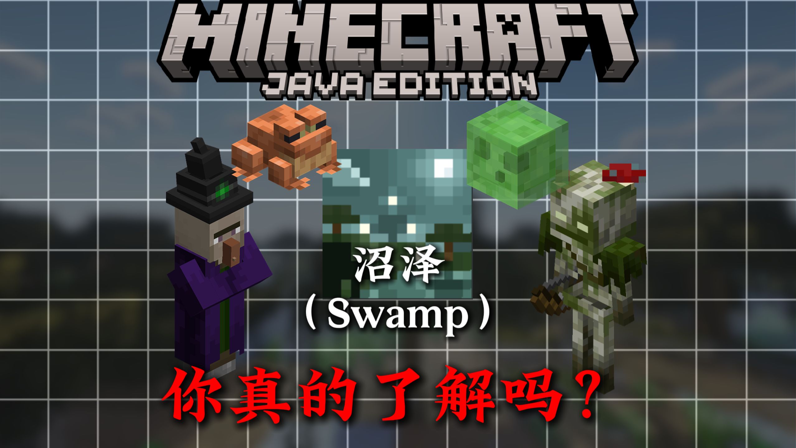 4分钟带你了解MC沼泽方面的相关知识！！