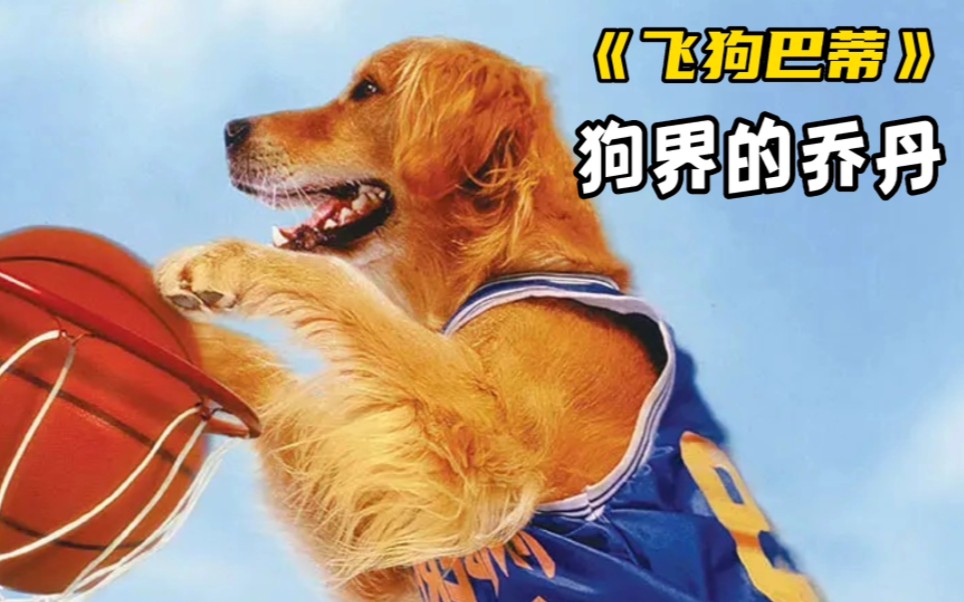 狗狗称霸篮球场，百发百中，带领球队夺冠《飞狗巴迪》