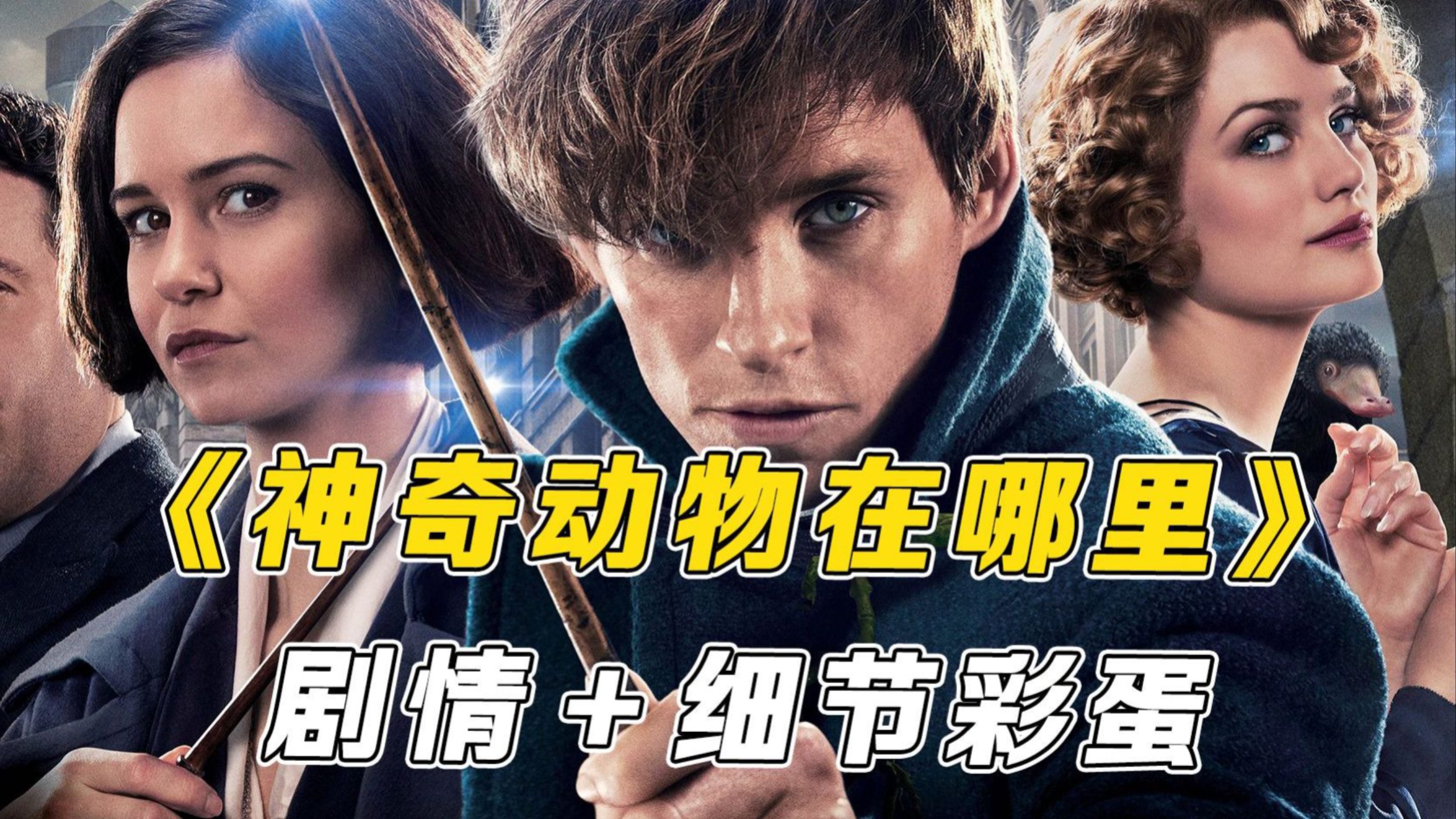 万字详细解说《神奇动物在哪里：格林德沃之罪》