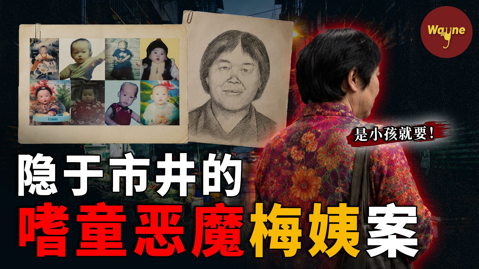 20年追捕终落网！拐卖9童，3分钟毁掉一个家庭！幽灵人贩梅姨 ｜ Wayne调查
