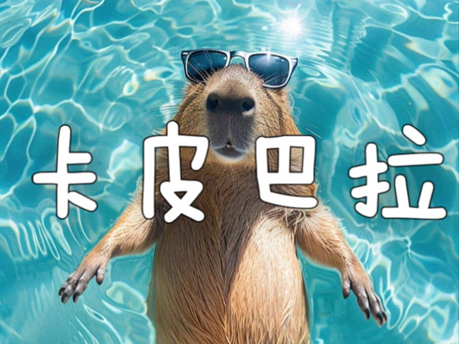 卡皮巴拉