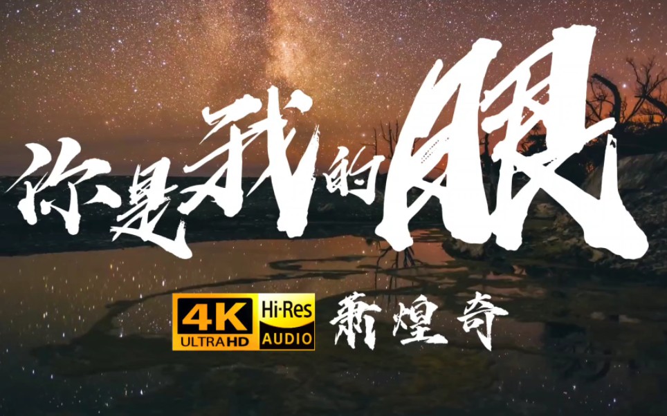 深情的歌声，让人为之动容《你是我的眼》萧煌奇