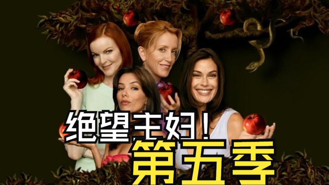 绝望主妇S05全集