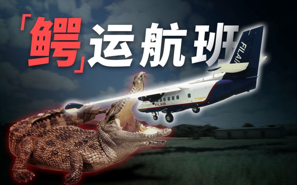 鳄鱼大闹飞机客舱， 乘客命悬一线！非洲飞乐航空“鳄”运航班