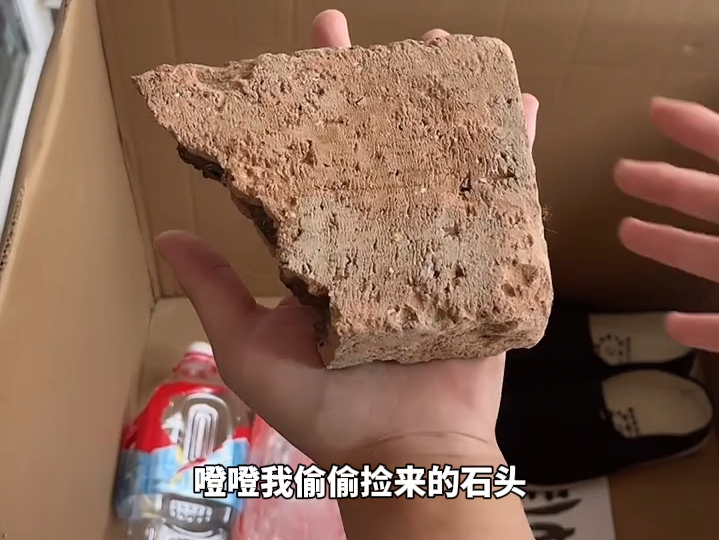 绝不允许我的男孩羡慕任何人