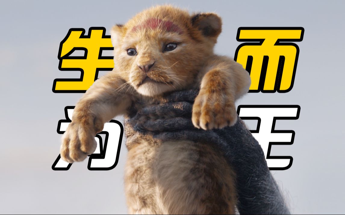 【狮子王】人生必看经典神作，永远的狮子王辛巴！