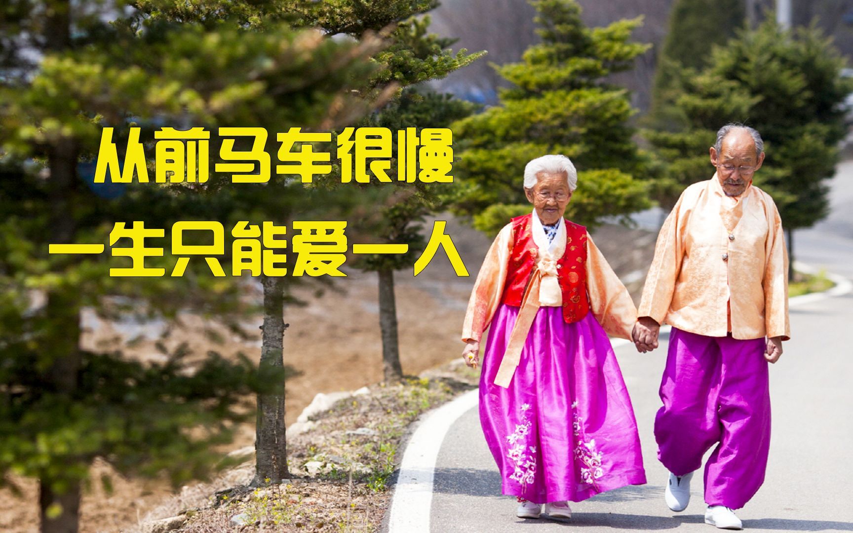 “我一生都未体会过孤独，直到你的离去”【亲爱的 不要越过那条江】
