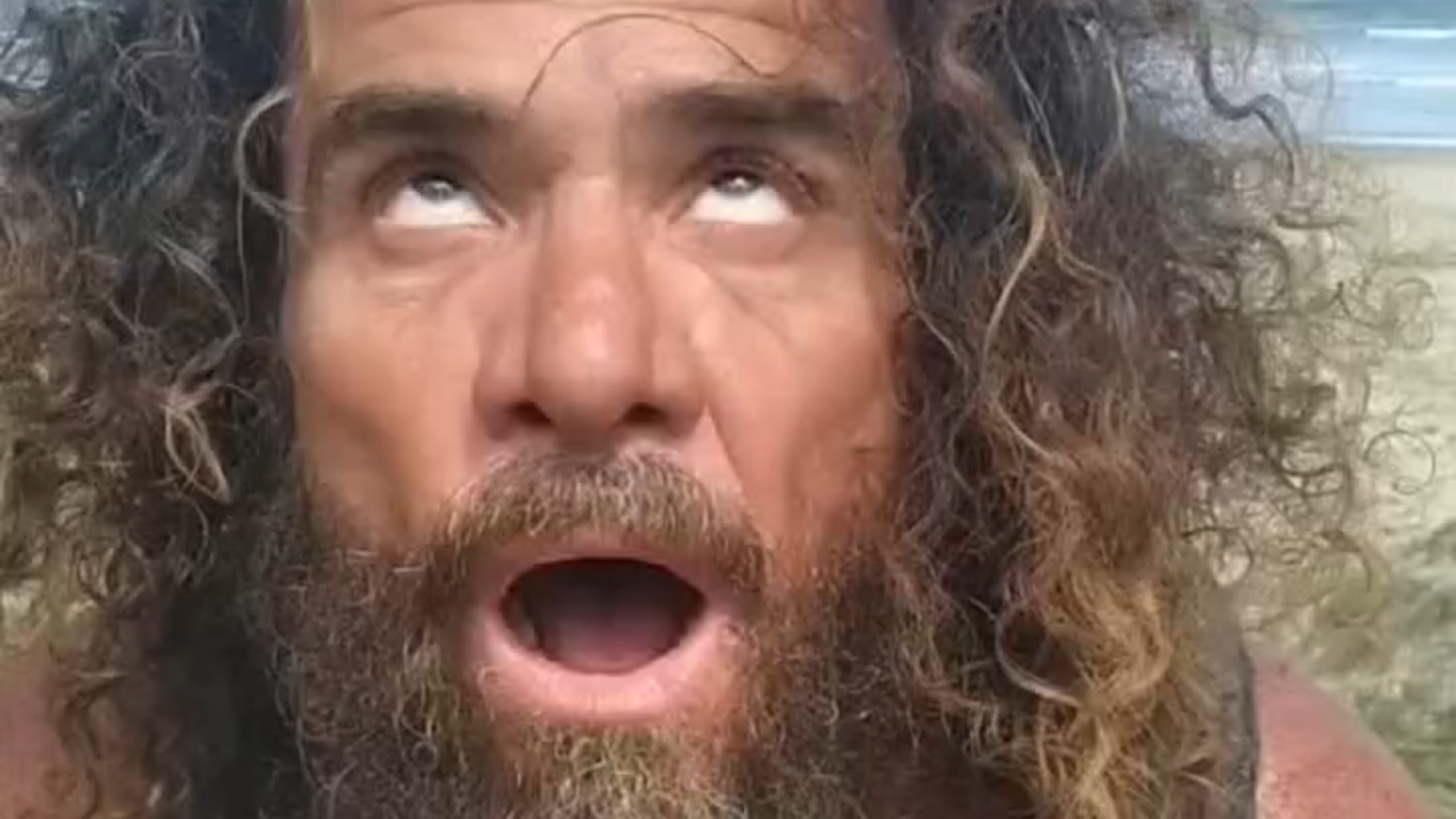 当星期五发现鲁滨逊走的时候没带上它: