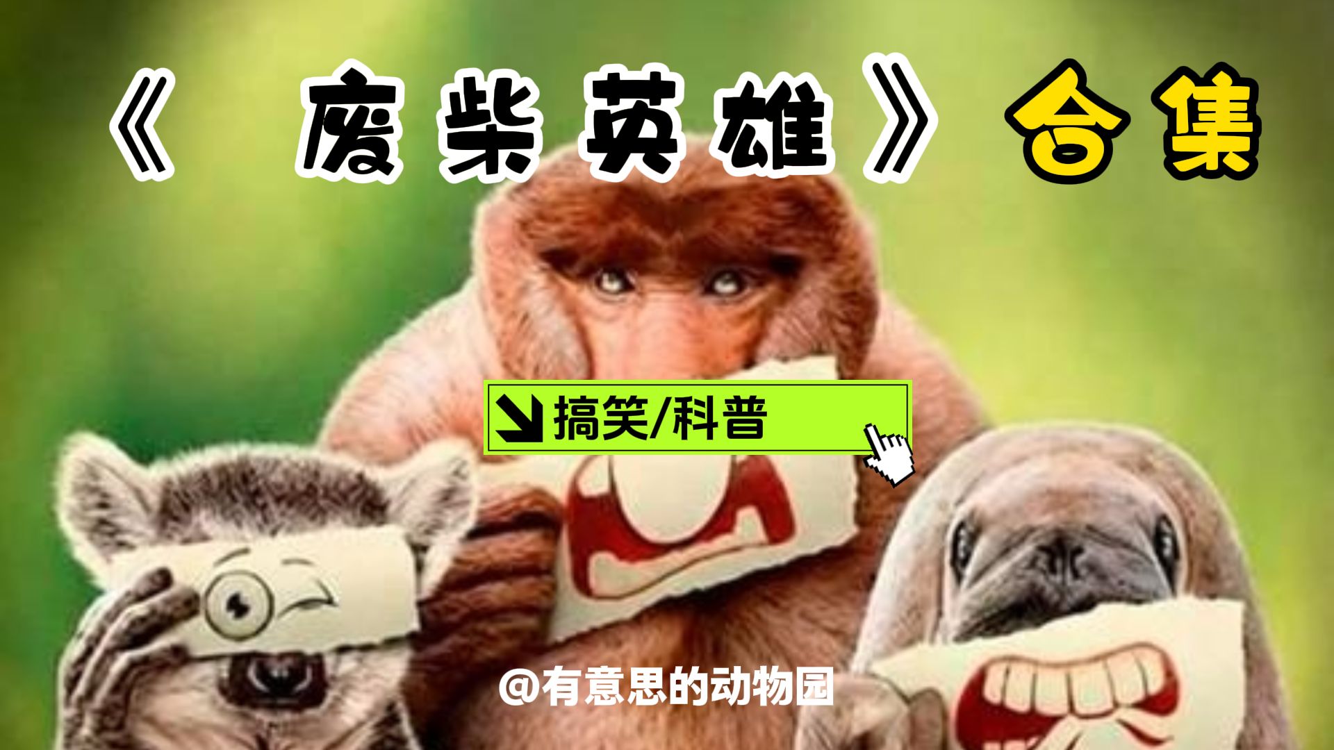 一口气解说《废柴动物 》精彩瞬间