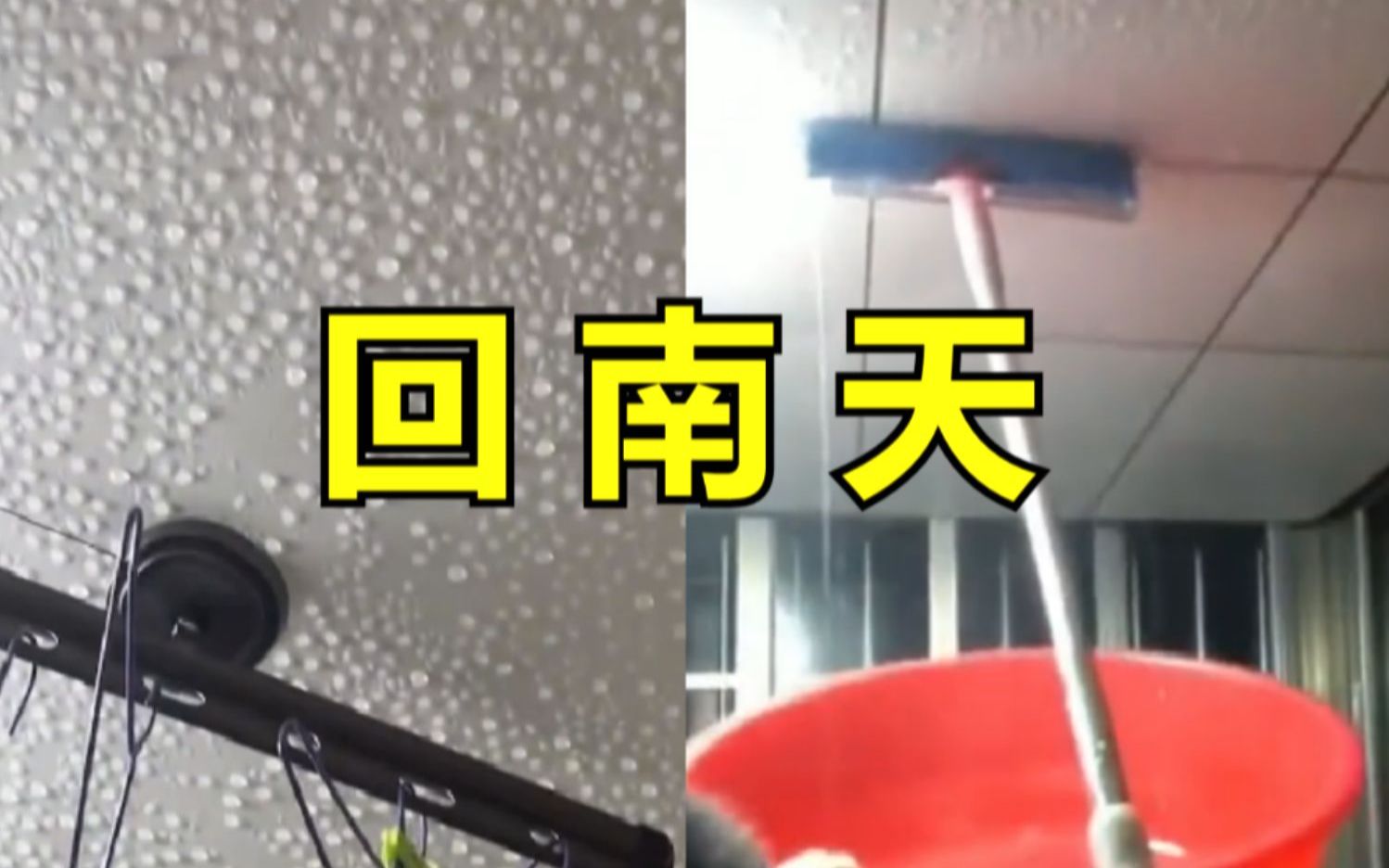 “北方人无法理解的回南天”