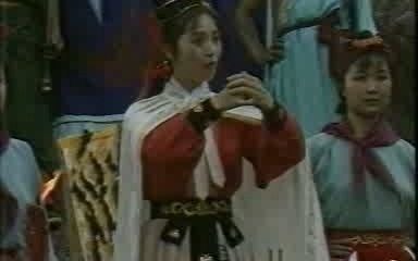 粉斗篷女匪首大姐大召开大会