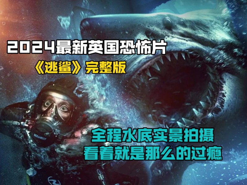 2024最新英国恐怖片《逃鲨》完整版，实景拍摄，看着就是那么过瘾